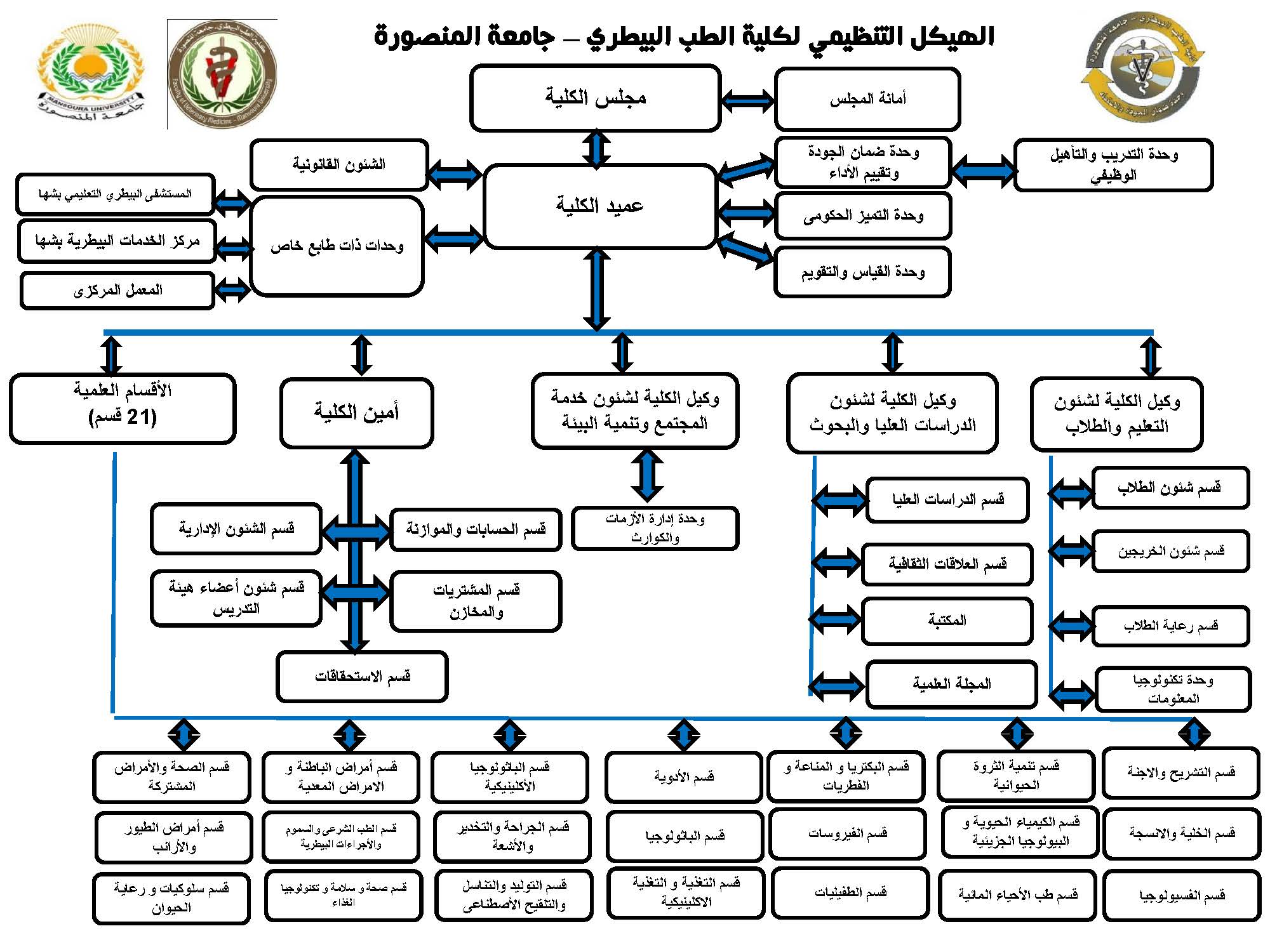 org structure2024