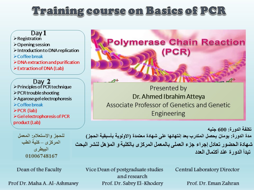 training c of pcr