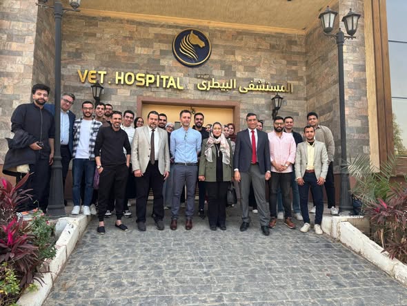 تعاون مشترك بين كلية الطب البيطري بجامعة المنصورة ومستشفى مرتفعات الشرطة للفروسية