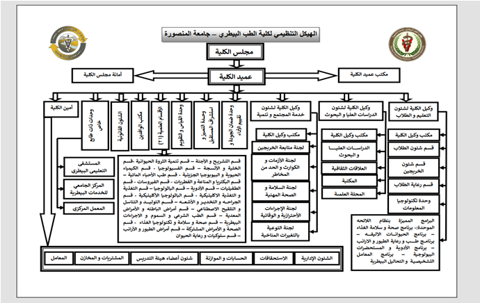 org structure2024